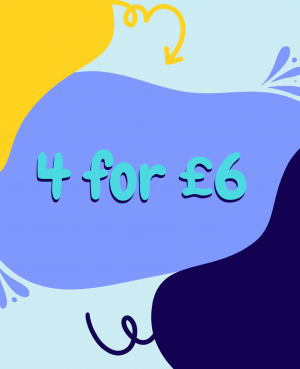 Mystery Full Sized Bag