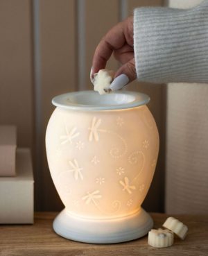 Dragonfly Electric Burner