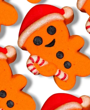 Gingerbread Man Bath Bomb
