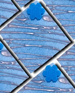 Walking In A Winter Wonderland Small Soap Sponge